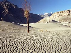 20 Sand Dunes Near Skardu There are beautiful, silvery-grey sand dunes near Skardu.